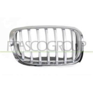 Griglia Radiatore Destra Per Bmw X6 - E71 Dal 2008 Al 2014