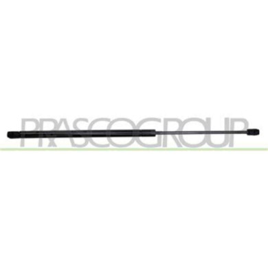 CI0229055_1.JPG Molla A Gas Destra O Sinistra Portellone Posteriore Per Citroen Saxo Dal 1996 Al 1999