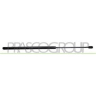 CI0229055_1.JPG Molla A Gas Destra O Sinistra Portellone Posteriore Per Citroen Saxo Dal 1996 Al 1999