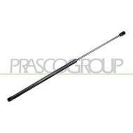 CI0229055_2.JPG Molla A Gas Destra O Sinistra Portellone Posteriore Per Citroen Saxo Dal 1996 Al 1999