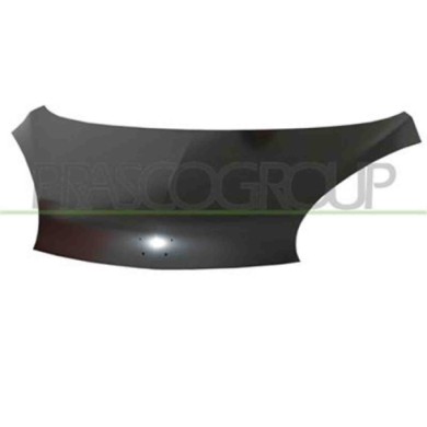 CI2013100_1.JPG Cofano Per Citroen C1 Dal 2005 Al 2008
