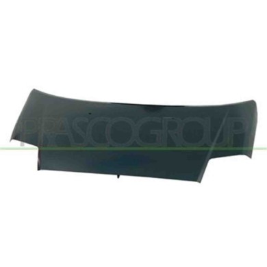 CI3043100_1.JPG Cofano Per Citroen C2 Dal 2003 Al 2007