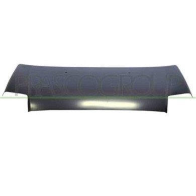 CI3053100_1.JPG Cofano Per Citroen C2 Dal 2008 Al 2010