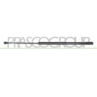 CI4249055_1.JPG Molla A Gas Destra O Sinistra Portellone Posteriore Per Citroen C4 Dal 2004 Al 2008