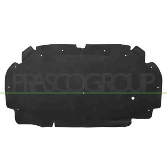 CI5201945_1.JPG Pannello Insonorizzatore Cofano Per Citroen C5 Dal 2001 Al 2004