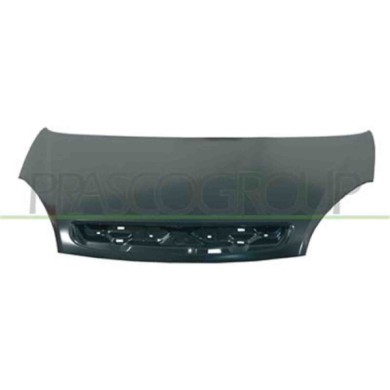 CI7173100_1.JPG Cofano Per Citroen Xsara Picasso Dal 2004 Al 2011
