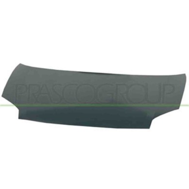 CI9173100_1.JPG Cofano Per Citroen Berlingo Dal 2003 Al 2008