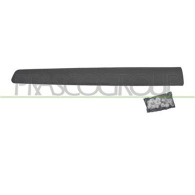 CI9181403_2.JPG Modanatura Porta Anteriore Destra Per Citroen Berlingo Dal 2008 Al 2011