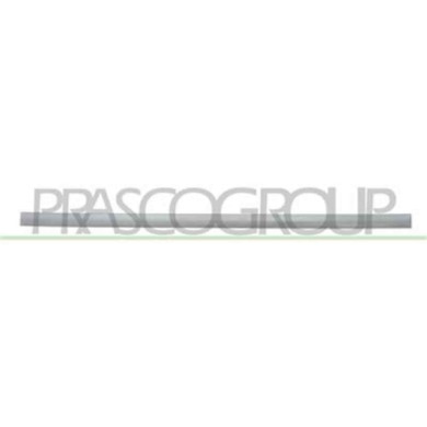 DA3241423_2.JPG Modanatura Porta Anteriore Destra Con Primer Per Dacia Logan Dal 2013 Al 2016