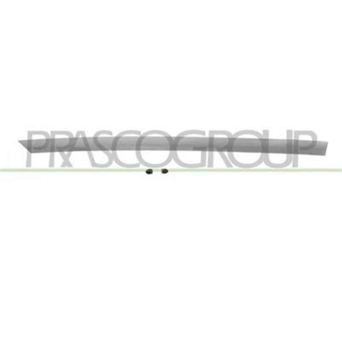 DA3241463_2.JPG Modanatura Porta Posteriore Destra Con Primer Per Dacia Logan Dal 2013 Al 2016
