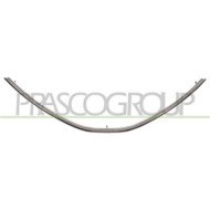 Modanatura Inferiore Cromata Griglia Radiatore Per Dacia Logan Mcv I/van Dal 2006 Al 2008