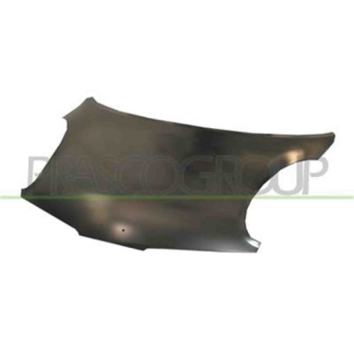 DS0113130_1.JPG Cofano Per Nissan Micra K12 Dal 2003 Al 2005