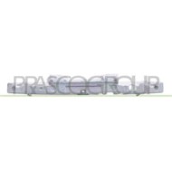 DS7101014_1.JPG Assorbitore Paraurti Anteriore Superiore In Plastica Per Nissan Qashqai (j10) Dal 2006 Al 2010