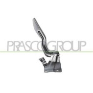DS7123704_2.JPG Cerniera Cofano Sinistra Per Nissan Qashqai (j11) Dal 2014 Al 2017