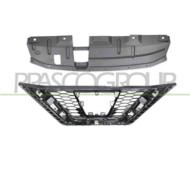 DS7132001_1.JPG Griglia Radiatore Nera Con Modanatura Cromata Per Nissan Qashqai (j11) Dal 2017 Al 2021
