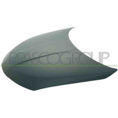 DS7303100_1.JPG Cofano Per Nissan Murano Dal 2002 Al 2007
