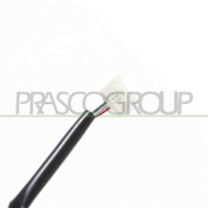 DS8187313_3.JPG Retrovisore Destro Elettrico Con Primer Per Nissan Navara - Pathfinder (d23) Dal 2016