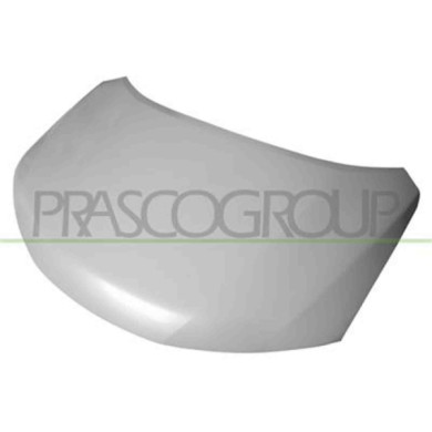 DS8363100_1.JPG Cofano Per Nissan X-trail Dal 2014 Al 2017