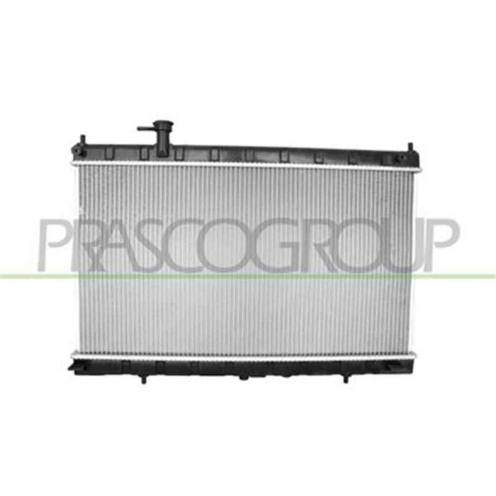 DS836R001_1.JPG Radiatore Per Nissan X-trail Dal 2014 Al 2017