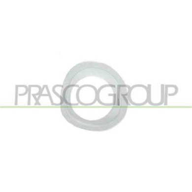 GUIDA_ALLA_SCELTA.JPG Cornice Fendinebbia Destra Per Ford Mondeo Dal 1996 Al 2000