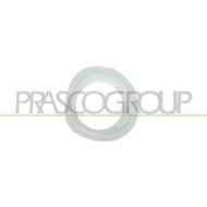 GUIDA_ALLA_SCELTA.JPG Cornice Fendinebbia Destra Per Ford Mondeo Dal 1996 Al 2000