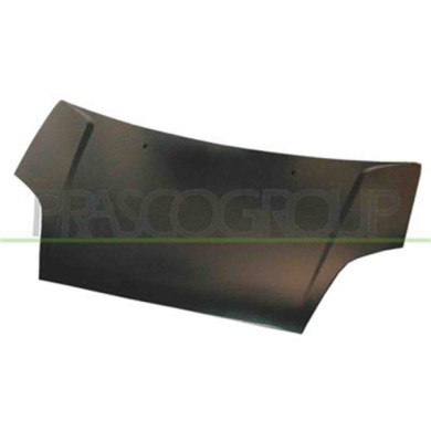FD3403130_1.JPG Cofano Per Ford Fiesta Mk V Dal 2002 Al 2005