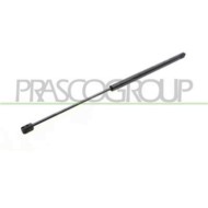 Molla A Gas Destra O Sinistra Portellone Posteriore Per Ford Fiesta Mk V Dal 2002 Al 2005