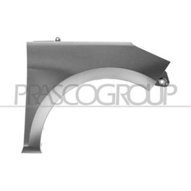 GUIDA_ALLA_SCELTA.JPG Parafango Anteriore Destro Per Ford Fiesta Mk Vii Dal 2017 Al 2021