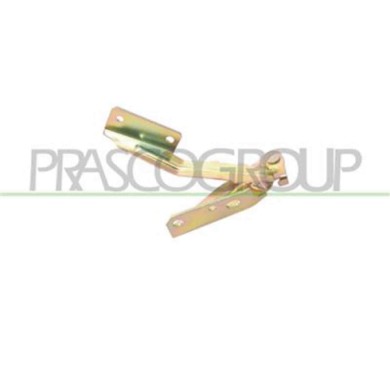 GUIDA_ALLA_SCELTA.JPG Cerniera Cofano Destra Per Ford Focus Dal 1998 Al 2001