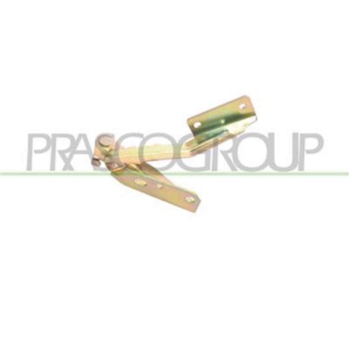 GUIDA_ALLA_SCELTA.JPG Cerniera Cofano Sinistra Per Ford Focus Dal 1998 Al 2001