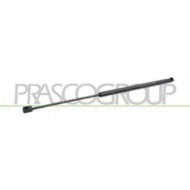 Molla A Gas Destra O Sinistra Portellone Posteriore Per Ford Focus Dal 2005 Al 2007