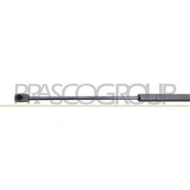 FD4249055_3.JPG Molla A Gas Destra O Sinistra Portellone Posteriore Per Ford Focus Dal 2005 Al 2007