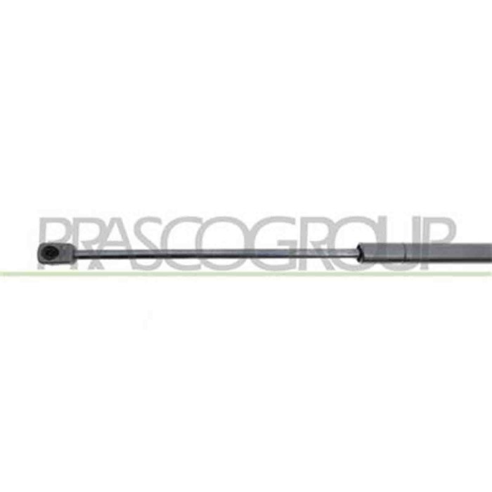 FD4249055_3.JPG Molla A Gas Destra O Sinistra Portellone Posteriore Per Ford Focus Dal 2005 Al 2007