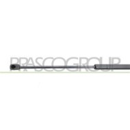 FD4249055_3.JPG Molla A Gas Destra O Sinistra Portellone Posteriore Per Ford Focus Dal 2005 Al 2007