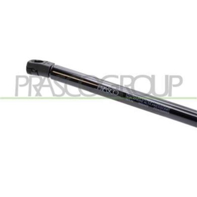 FD4289055_3.JPG Molla A Gas Destra O Sinistra Portellone Posteriore Per Ford Focus Dal 2011 Al 2014