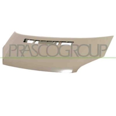 FD9123100_1.JPG Cofano Per Ford Transit Dal 2006 Al 2013
