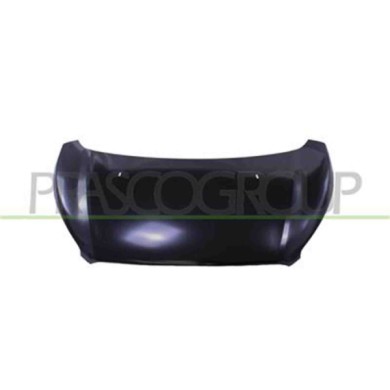 FD9163100_2.JPG Cofano Per Ford Transit/tourneo - Custom (ttf) Dal 2018