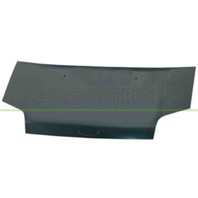 FD9303100_1.JPG Cofano Con Fori Emblema Per Ford Transit/tourneo - Connect Dal 2003 Al 2006