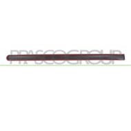 FD9321403_1.JPG Modanatura Porta Anteriore Destra Per Ford Transit/tourneo - Connect Dal 2006 Al 2009