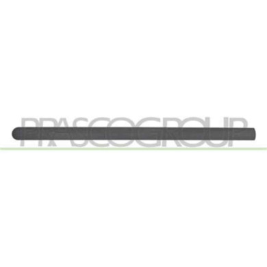 FD9321404_2.JPG Modanatura Porta Anteriore Sinistra Per Ford Transit/tourneo - Connect Dal 2006 Al 2009