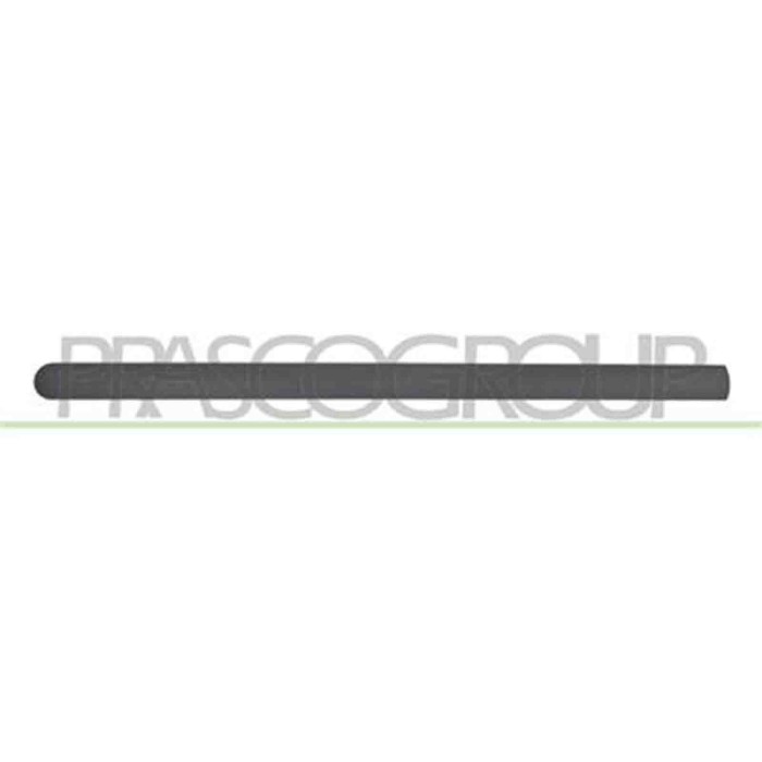 FD9321404_2.JPG Modanatura Porta Anteriore Sinistra Per Ford Transit/tourneo - Connect Dal 2006 Al 2009
