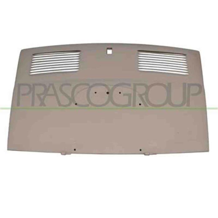 FT0033160_1.JPG Cofano Posteriore Per Fiat 500 L Dal 1965 Al 1975