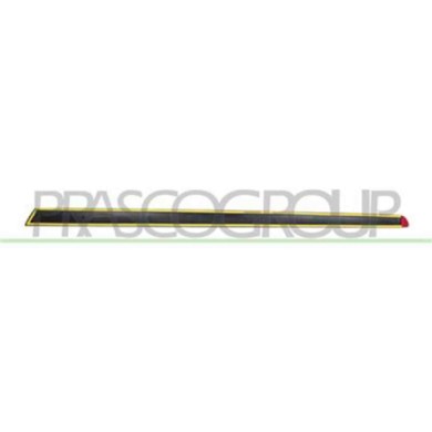 FT0301413_1.JPG Modanatura Porta Anteriore Destra Per Fiat 500 Dal 2007 Al 2015