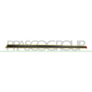 FT0301413_1.JPG Modanatura Porta Anteriore Destra Per Fiat 500 Dal 2007 Al 2015