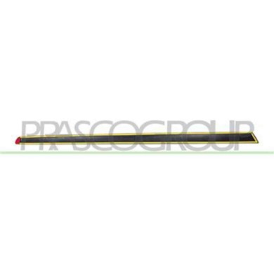 FT0301414_1.JPG Modanatura Porta Anteriore Sinistra Per Fiat 500 Dal 2007 Al 2015