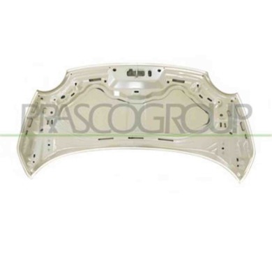 FT0303120_3.JPG Cofano Per Fiat 500 Dal 2007 Al 2015