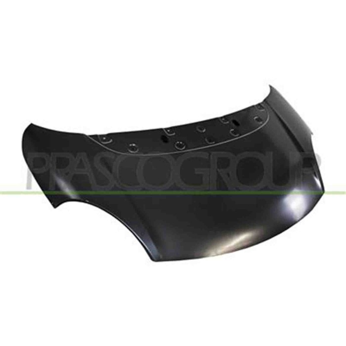 FT0403120_1.JPG Cofano Per Fiat 500 L Dal 2012 Al 2017
