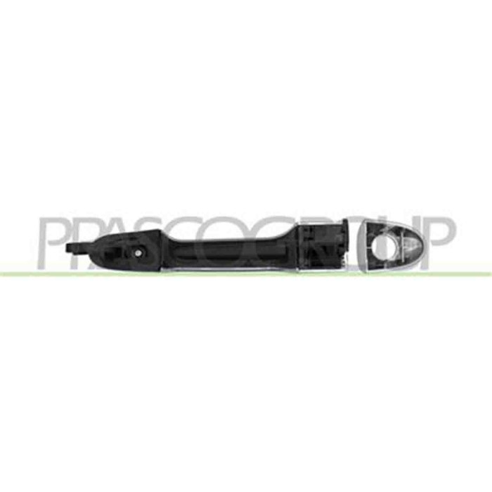 FT0408016_3.JPG Maniglia Esterna Anteriore Sinistra Argento Per Fiat 500 L Dal 2012 Al 2017