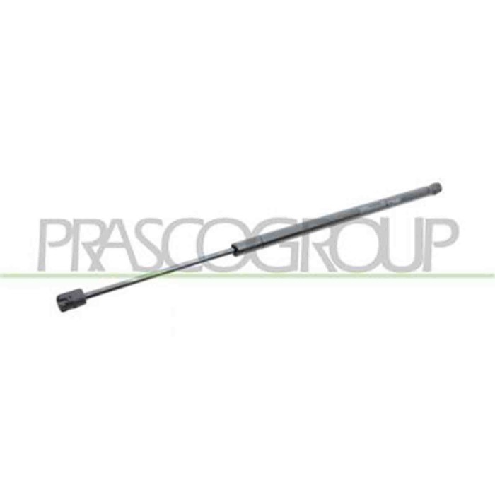 FT0409055_2.JPG Molla A Gas Destra O Sinistra Portellone Posteriore Per Fiat 500 L Dal 2012 Al 2017