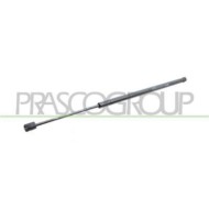 FT0409055_2.JPG Molla A Gas Destra O Sinistra Portellone Posteriore Per Fiat 500 L Dal 2012 Al 2017